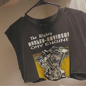 Vintage Lee Harley Davidson cropped cutoff shirt. Fits me loosely and I’m an XS.